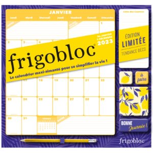 Frigobloc Mensuel 2023 Déco bleu (de janv. à déc. 2023) - édition limitée